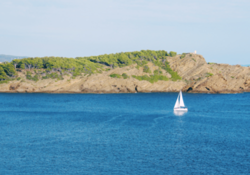 ile verte