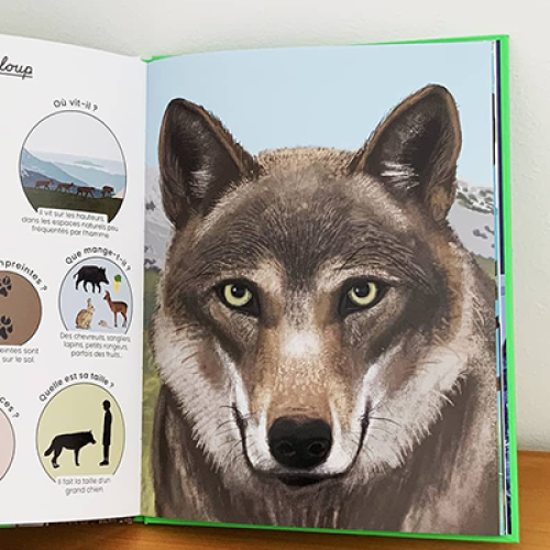 Photo du livre pour enfants Sur la Piste des animaux