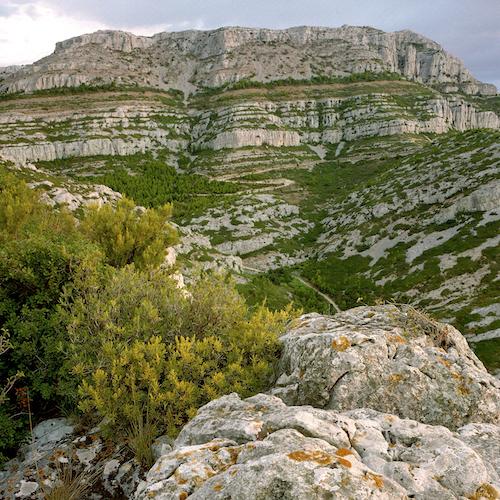 9_les_monts_de_luminy_-_richaud_copie.jpg
