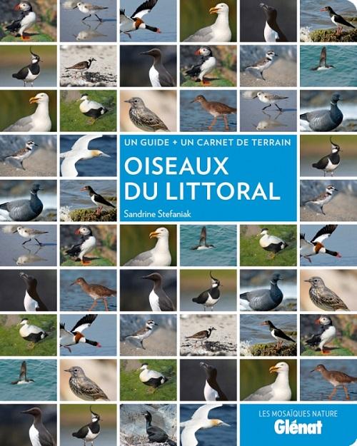 oiseaux-du-littoral.jpg