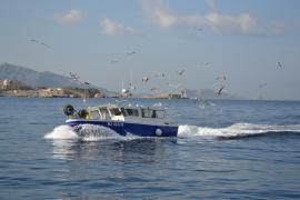 2-peche-calanques-marseille-cassis-la-ciotat.jpg