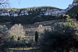 5-aux_frontieres_cahier-135_c_franck_gerard_-_terroir_de_cassis.jpg