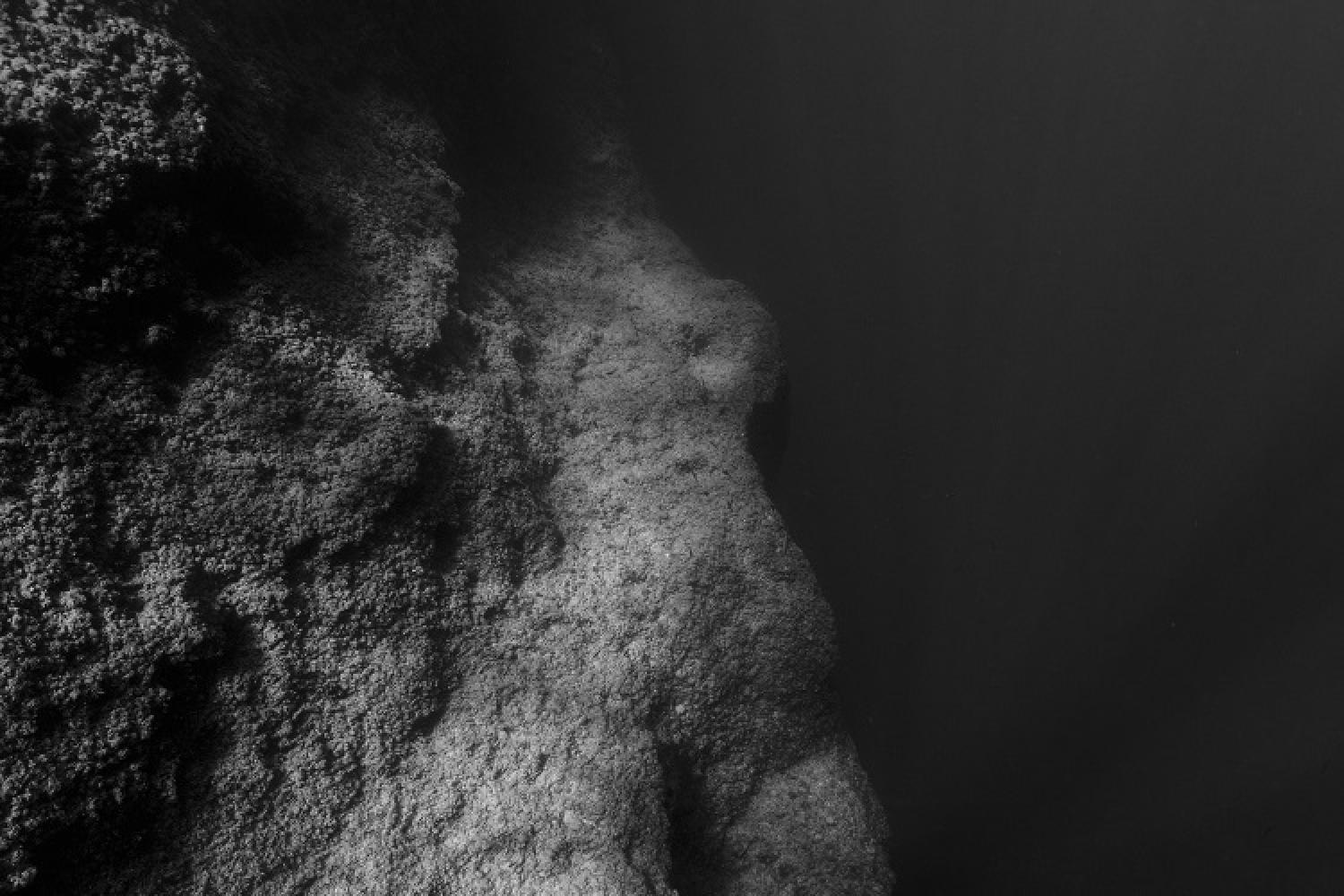t25_ta26_de_cap_morgiou_a_la_pointe_du_figuier_2018_-_20_m_a_-40m-182137.jpg