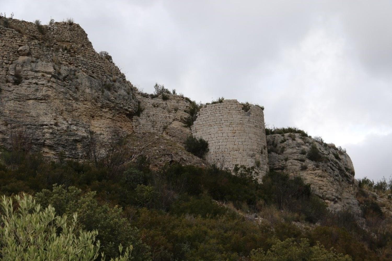 tour_sud_et_courtine.jpg